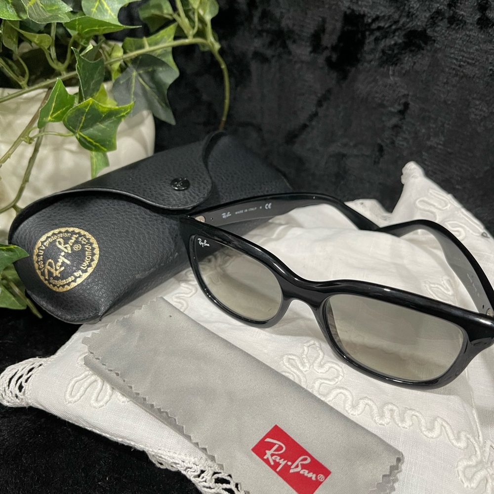 Ray-Ban  Black Sunglasses